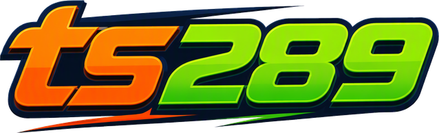 ts289